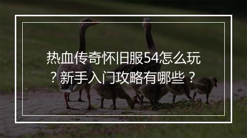 热血传奇怀旧服54怎么玩？新手入门攻略有哪些？