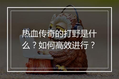 热血传奇的打野是什么？如何高效进行？