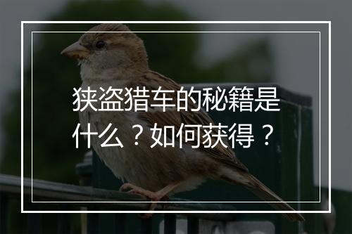 狭盗猎车的秘籍是什么？如何获得？