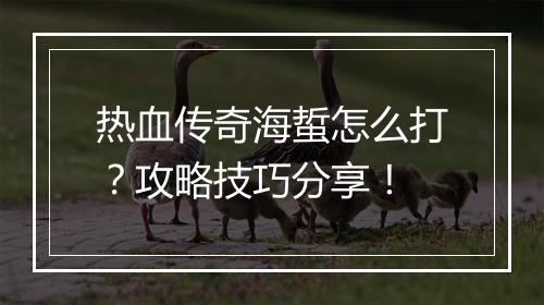 热血传奇海蜇怎么打？攻略技巧分享！