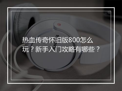 热血传奇怀旧版800怎么玩？新手入门攻略有哪些？