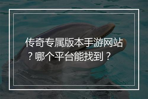 传奇专属版本手游网站？哪个平台能找到？