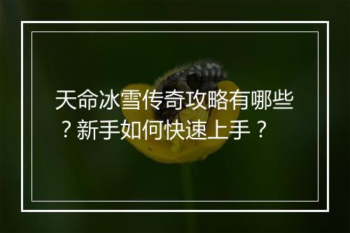 天命冰雪传奇攻略有哪些？新手如何快速上手？