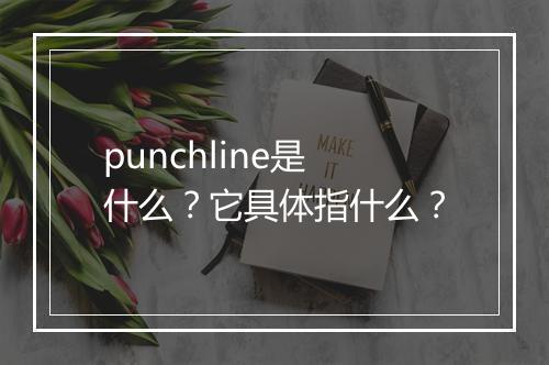 punchline是什么？它具体指什么？
