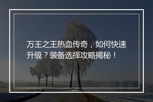 万王之王热血传奇，如何快速升级？装备选择攻略揭秘！