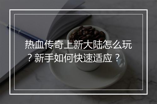 热血传奇上新大陆怎么玩？新手如何快速适应？