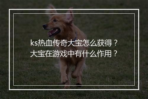 ks热血传奇大宝怎么获得？大宝在游戏中有什么作用？