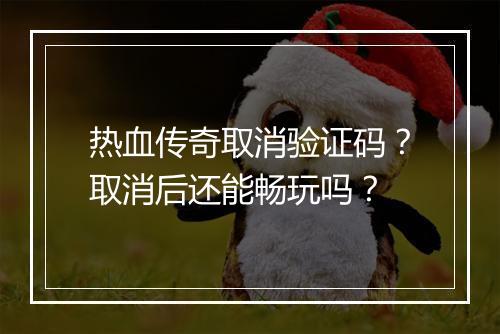 热血传奇取消验证码？取消后还能畅玩吗？