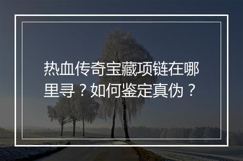 热血传奇宝藏项链在哪里寻？如何鉴定真伪？