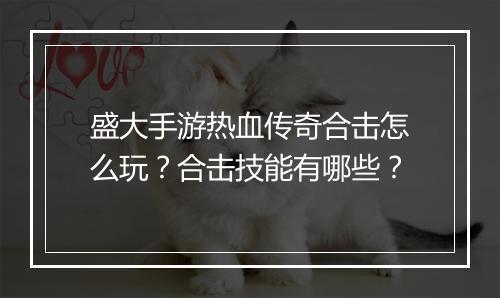 盛大手游热血传奇合击怎么玩？合击技能有哪些？