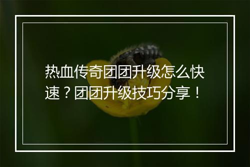 热血传奇团团升级怎么快速？团团升级技巧分享！