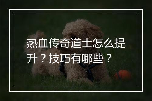 热血传奇道士怎么提升？技巧有哪些？