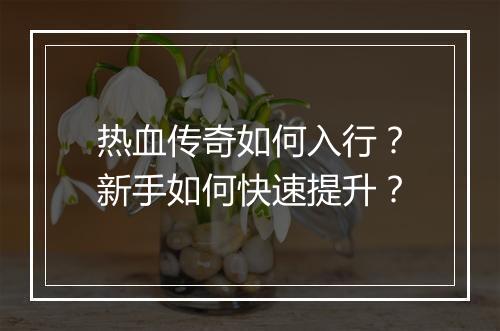 热血传奇如何入行？新手如何快速提升？