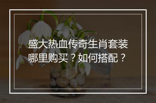 盛大热血传奇生肖套装哪里购买？如何搭配？