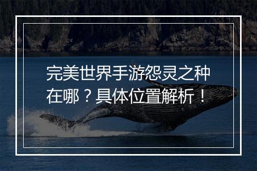 完美世界手游怨灵之种在哪？具体位置解析！
