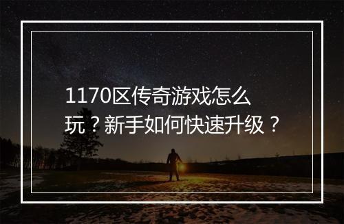 1170区传奇游戏怎么玩？新手如何快速升级？