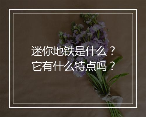 迷你地铁是什么？它有什么特点吗？