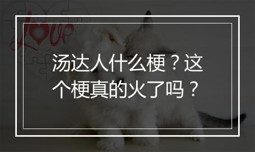 汤达人什么梗？这个梗真的火了吗？