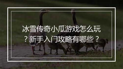 冰雪传奇小瓜游戏怎么玩？新手入门攻略有哪些？