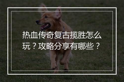 热血传奇复古揽胜怎么玩？攻略分享有哪些？