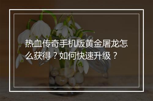 热血传奇手机版黄金屠龙怎么获得？如何快速升级？