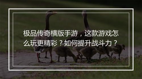 极品传奇横版手游，这款游戏怎么玩更精彩？如何提升战斗力？