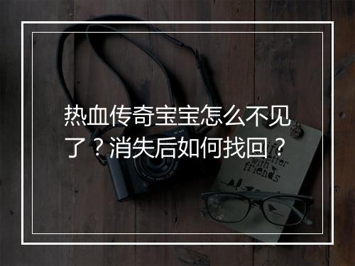 热血传奇宝宝怎么不见了？消失后如何找回？