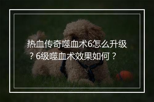 热血传奇噬血术6怎么升级？6级噬血术效果如何？