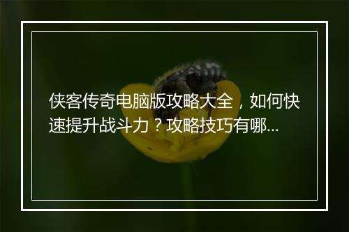 侠客传奇电脑版攻略大全，如何快速提升战斗力？攻略技巧有哪些？