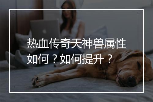 热血传奇天神兽属性如何？如何提升？