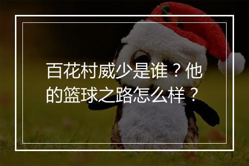 百花村威少是谁？他的篮球之路怎么样？