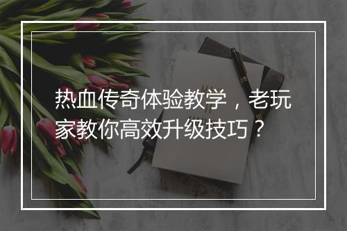 热血传奇体验教学，老玩家教你高效升级技巧？