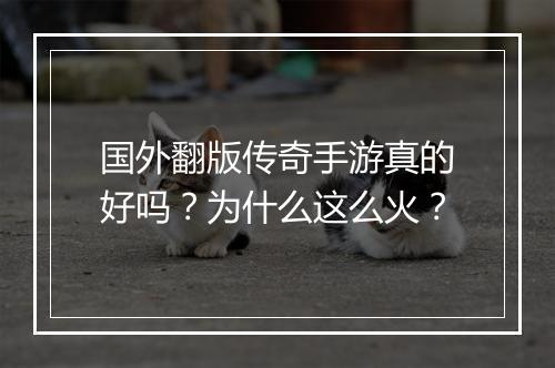国外翻版传奇手游真的好吗？为什么这么火？