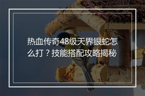 热血传奇48级天界银蛇怎么打？技能搭配攻略揭秘