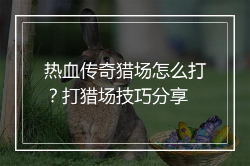 热血传奇猎场怎么打？打猎场技巧分享