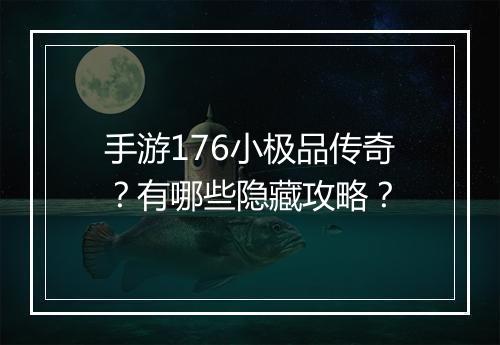 手游176小极品传奇？有哪些隐藏攻略？