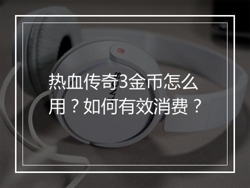 热血传奇3金币怎么用？如何有效消费？