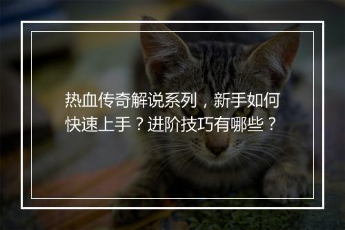 热血传奇解说系列，新手如何快速上手？进阶技巧有哪些？