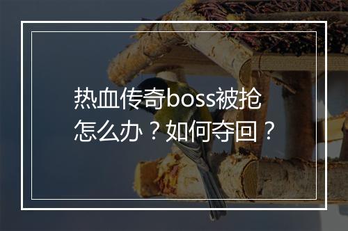 热血传奇boss被抢怎么办？如何夺回？