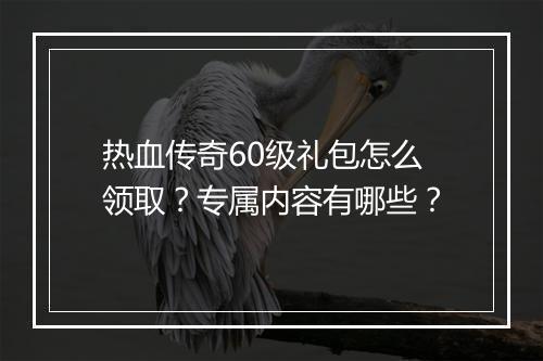 热血传奇60级礼包怎么领取？专属内容有哪些？