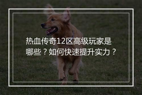 热血传奇12区高级玩家是哪些？如何快速提升实力？