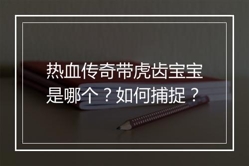 热血传奇带虎齿宝宝是哪个？如何捕捉？