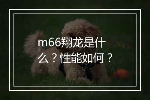 m66翔龙是什么？性能如何？
