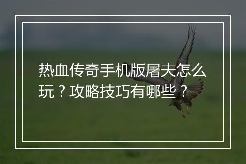热血传奇手机版屠夫怎么玩？攻略技巧有哪些？