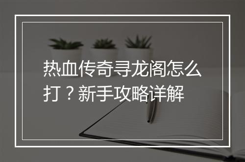 热血传奇寻龙阁怎么打？新手攻略详解