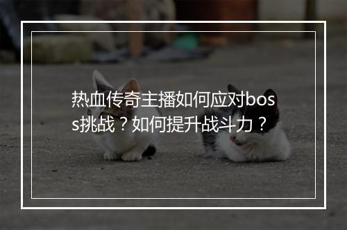 热血传奇主播如何应对boss挑战？如何提升战斗力？