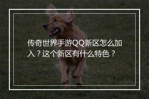 传奇世界手游QQ新区怎么加入？这个新区有什么特色？