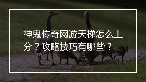 神鬼传奇网游天梯怎么上分？攻略技巧有哪些？