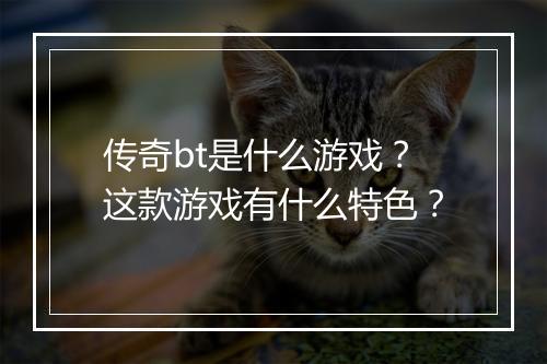 传奇bt是什么游戏？这款游戏有什么特色？