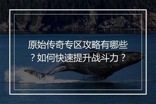 原始传奇专区攻略有哪些？如何快速提升战斗力？